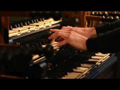 Komt allen tezamen (orgel) - Evangelisch Lutherse Kerk, Den Haag