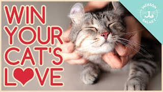 Speaking Cat: 5 Ways to Show Your Cat You LOVE Them