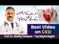 Best Complete Video On CKD Or Kidney Failure