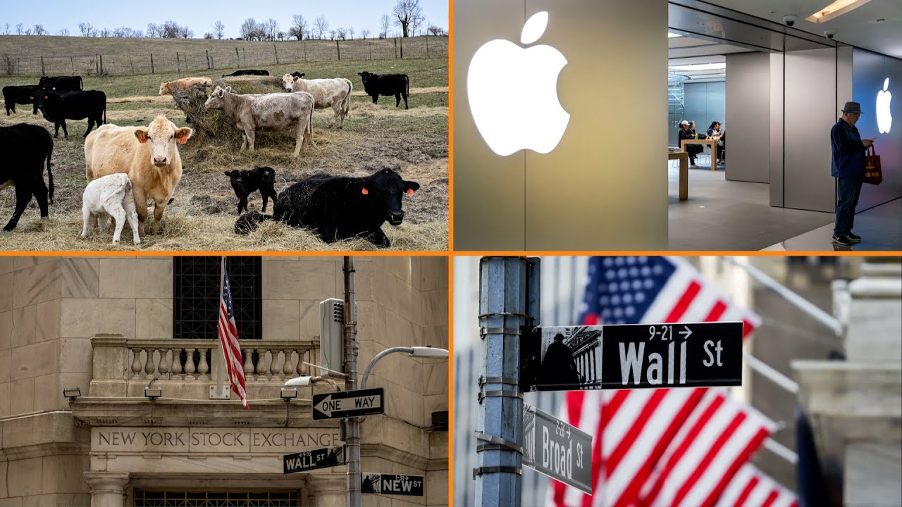 Bloomberg Money Minute: Apple AI Expectations and Market Recovery - Bloomberg Podcast