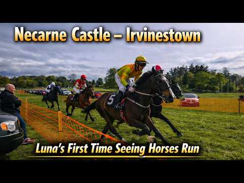 Necarne Castle (Castle Irvine) - Irvinestown - Luna's first time to view a Horse Race