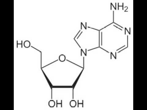 Kynoselen Vet Injection