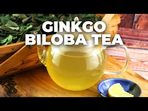 Power of Ginkgo Biloba Tea: Boost Your Brain and Beyond