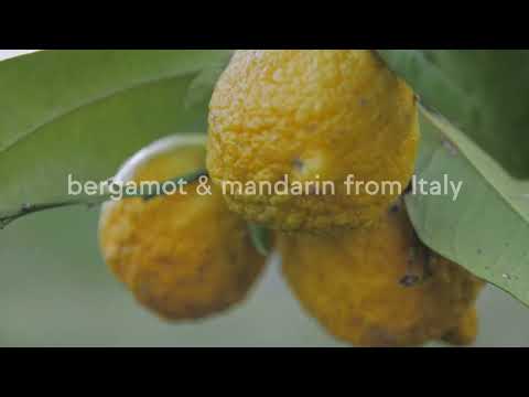 Coleção Orgânica LMR Citrus