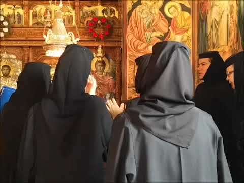 20190804 NICOLAE BALASOIU - DUMINICA A 7 A DUPA RUSALII – VINDECAREA A DOI ORBI SI A UNUI MUT DIN CA