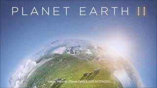 Jungles - Jungle Weather Planet Earth 2 OST EXTENDED