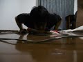 600 Push ups in one set #14 腕立て伏せ600回+片手腕立て伏せ15回
