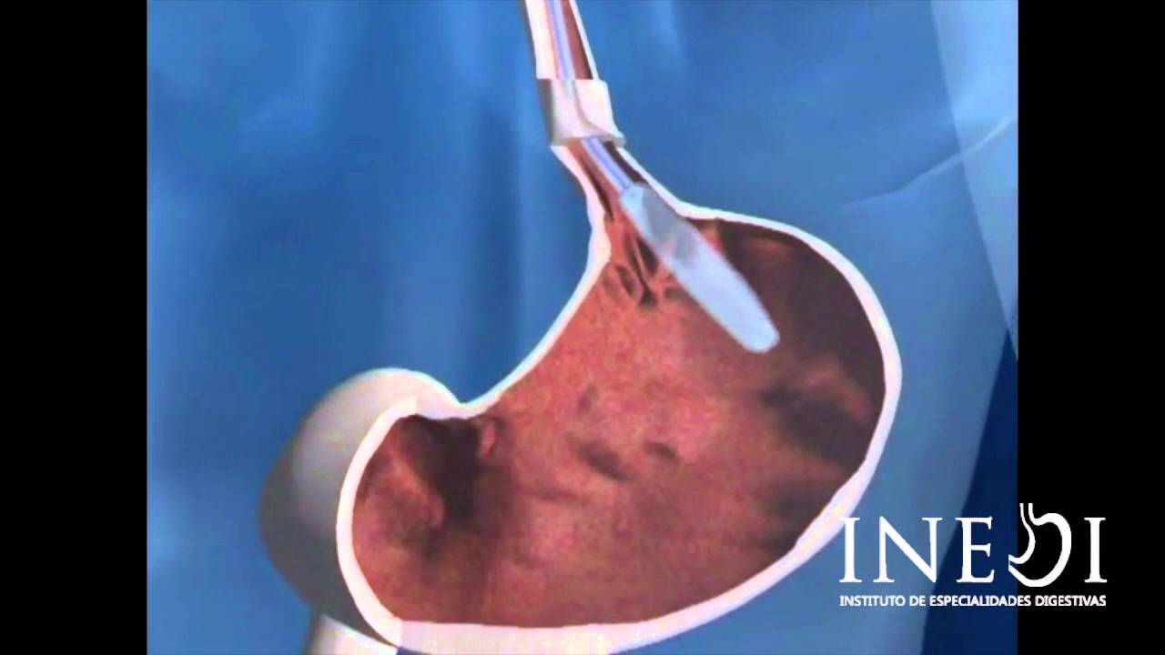 Diego Sánchez Muñoz-6