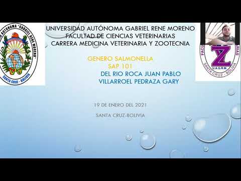 , title : 'SAP101"ABD" 7 GÉNERO SALMONELLA DR GERARDO MENDEZ BACTERIOLOGÍA Y MICO. VETERINARIA'