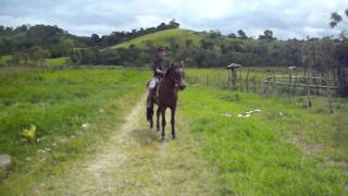 preview picture of video 'Andando de Cavalo ITAÓCA SP Gui'