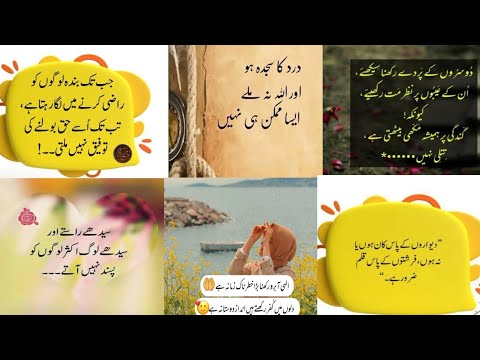 Urdu Quotes | Urdu Poetry | Islamic Status | Golden Words In Urdu| mateen Islamic quotes