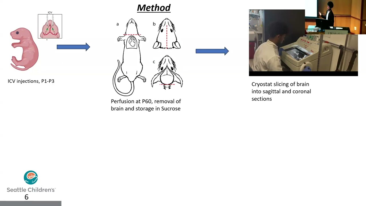 8/15/2025: Alef Leulekal • Kalume Lab