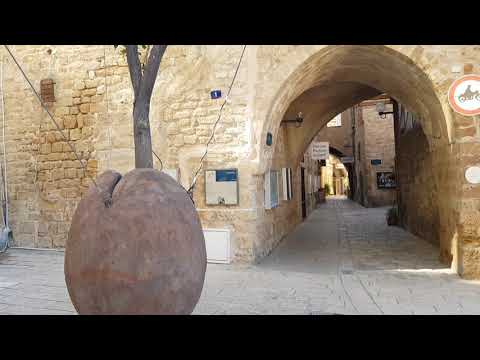 Jaffa Oranges - Today, there is only one orange tree in Old Jaffa ... and it's floating in the air.