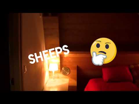 BFA Launch LAN Party!