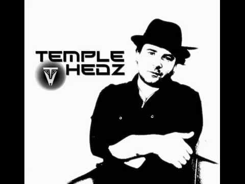 Temple Hedz chill out set 2014