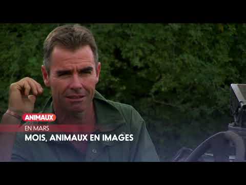 En Mars sur ANIMAUX BisTV via AERVI Boutique