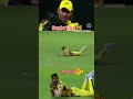 Katrina Boys The Boys King CSK