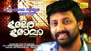 നാഗമേ നീയെത്ര ഭാഗ്യവാൻ... |  MERE MOULA | Mappila Devotional Album | SAKEER ALUVA