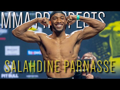 MMA Prospect study - Salahdine Parnasse