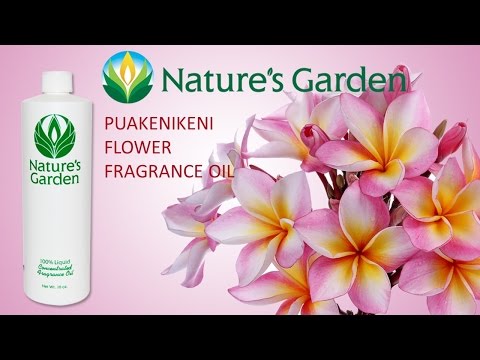 Puakenikeni Flower Fragrance Oil- Natures Garden