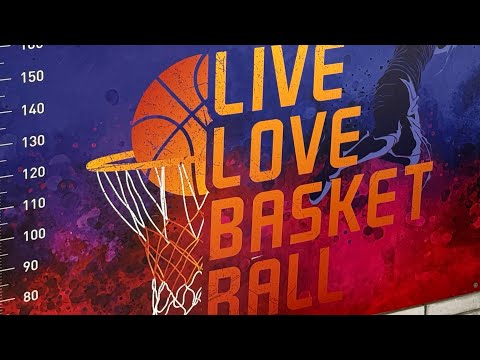 BKK RADNIČKI KK MLADOST ZEMUN 71:71