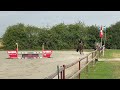 Jolie jument kwpn de 12 ans +-1m68