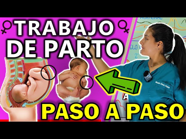 Vídeo relacionado con Fármacos en Sala de Partos. Guía Práctica