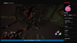 まぐろちゃんのデビュー戦