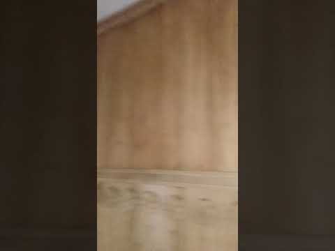 Interial design shaji