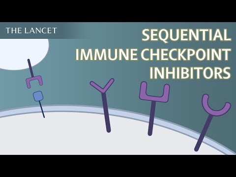 Sequential use of immune checkpoint inhibitors in renal cell carcinoma