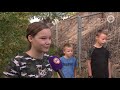 Spelende kinderen vinden oude bom in Velp