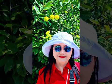 Thumbnail for Hobart Tasmania!#travel #holiday #explore #Cruise #niceview #tour ❤️❤️❤️