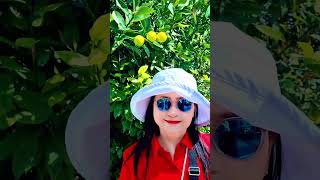 Hobart Tasmania!#travel #holiday #explore #Cruise #niceview #tour ❤️❤️❤️