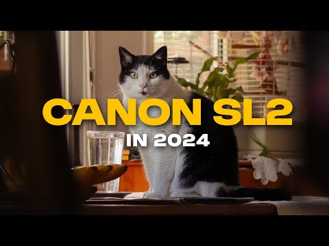Canon SL2 in 2024