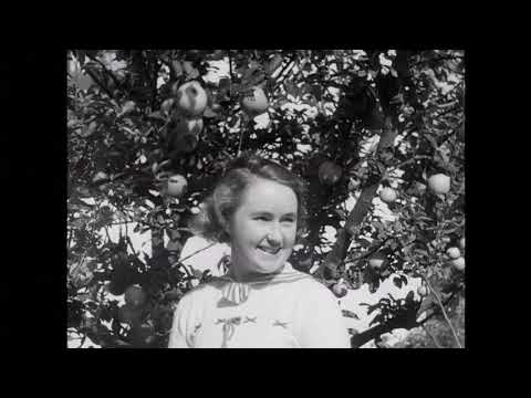 Around the Village Green 1937