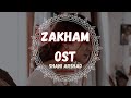 Zakham OST by Shani Arshad #shaniarshadzakhamost #zakhamost #rockversion #lyrics