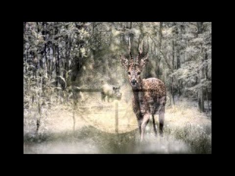 Weinbergsauen und alte Böcke Trailer