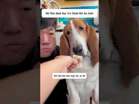 Khen Bánh Bao Một Câu Và Cái Kết Không Ngờ!