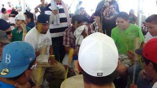 Black Bear @ Kahnawake