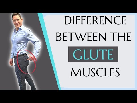 Difference Between the Gluteus Maximus & Gluteus Medius | Glute exercises
