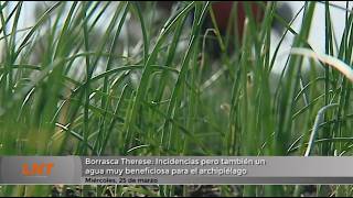 Borrasca Therese: Incidencias pero tambi&eacute;n un agua muy beneficiosa para el archipi&eacute;lago