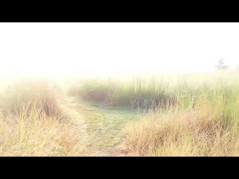 My first vlog 2022#myfirstblog myfirstvlog please🙏 guys support me😭😭