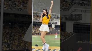 【君白】安打上壘曲#Passion Sisters#台湾チアリーディングチーム#中華職棒#CPBL#洲際#20240922（周思齊引退賽）