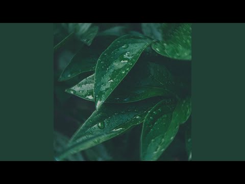 Body Language - GRAHAM