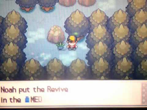 Pokemon SoulSilver Walkthrough Part 11: The Ilex Forest