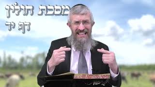 מסכת חולין דף יד - 8 דקות של לומדות ועמקות בדרך הלימוד הישיבתית [Hullin 14]