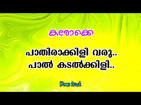 Paathirakkili varu palkadalkkili Karaoke with lyrics kizhakkan pathrose പാതിരാക്കിളി കരോക്കെ Demo