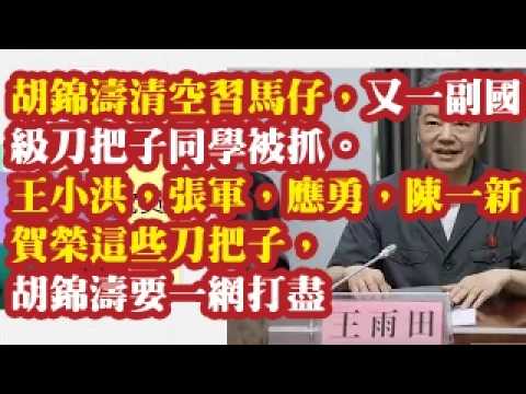胡锦涛清空习马仔，又一副国级刀把子同学被抓。吴法宪是周恩来的马仔铁证，挖出来一个。王小洪，张军，应勇，陈一新，贺荣这些刀把子，胡锦涛要一网打尽 2026-08-16 07:10