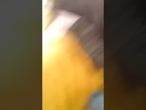 Mia Twin please phone me