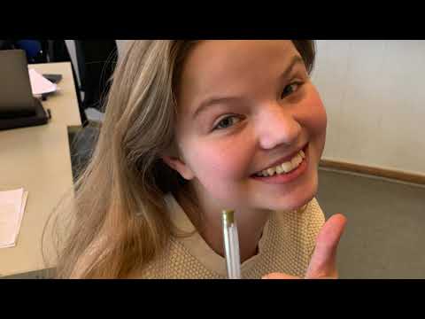 9.y pigeparodier - Vedbæk skole 2019